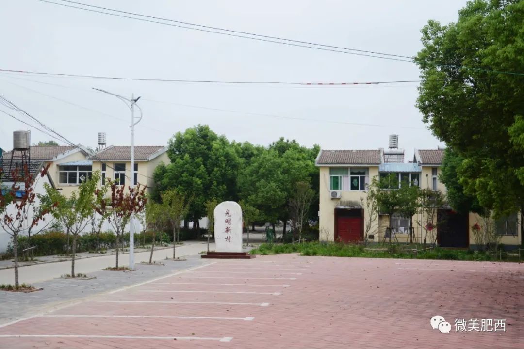 乡村振兴山南镇解放思想再破茧集体经济振翅飞