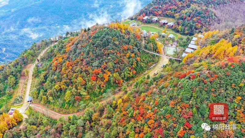 江油市觀霧山漫山斑斕在綿陽各個地方其實,有這樣一些秘境隱匿你知道