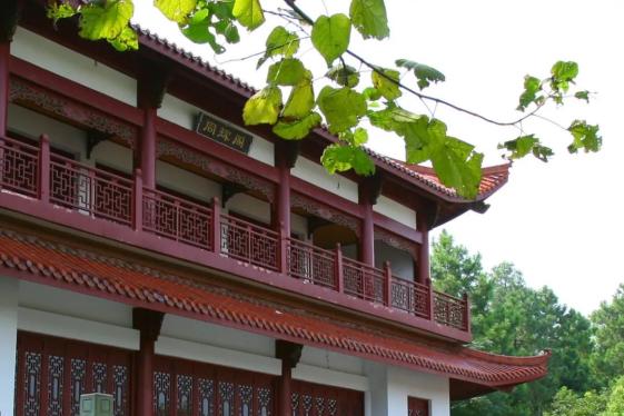 不容错过藏于浙师的小景致全去过真的太幸福了