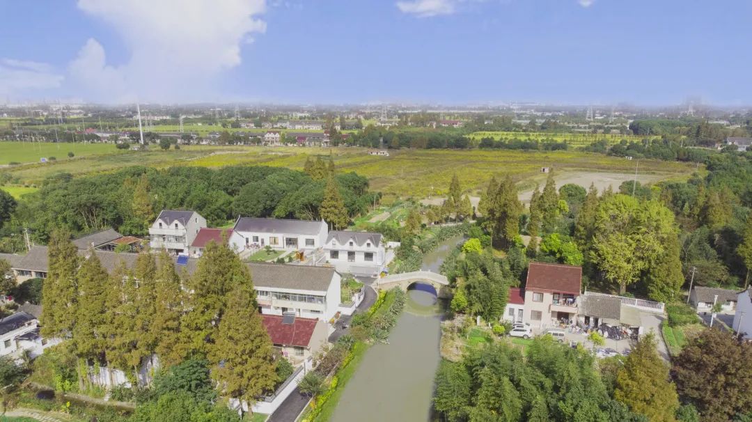 村落换新颜面对这样的金港村你酸了嘛