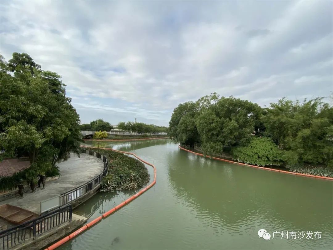 南沙这条村美呆了