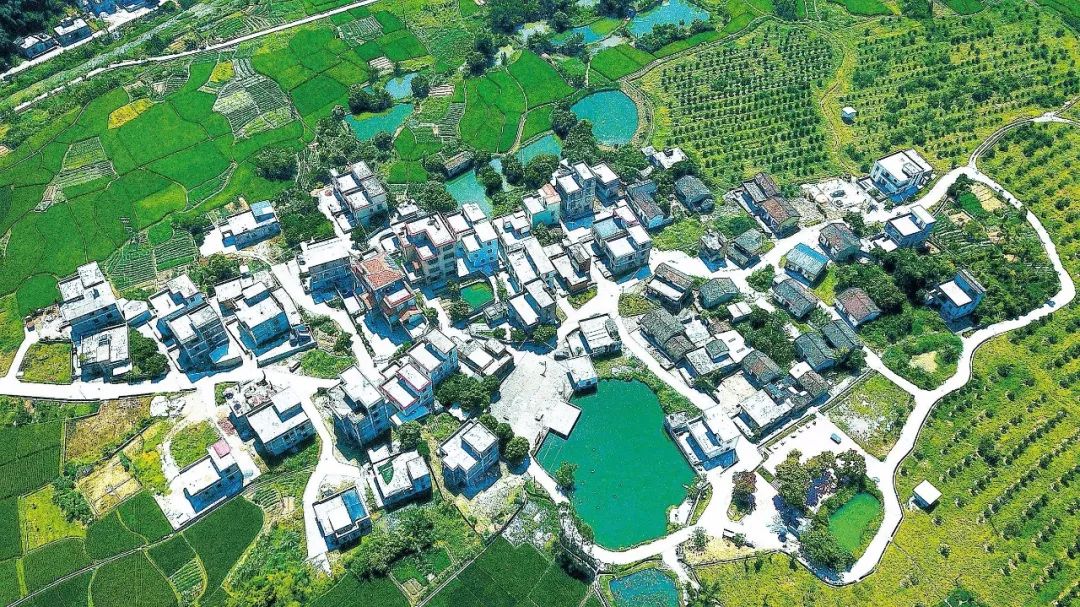 决战决胜脱贫攻坚特刊91云安区六都镇小康路上齐携手真情帮扶暖心田