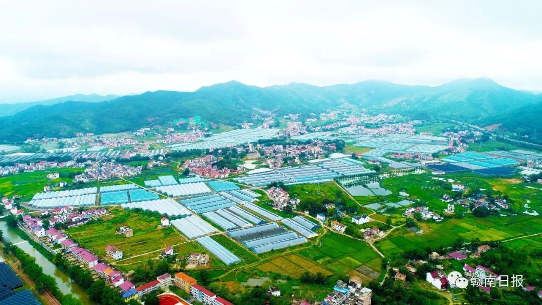 兰香四溢五谷丰登于都县禾丰镇推进乡村振兴纪实