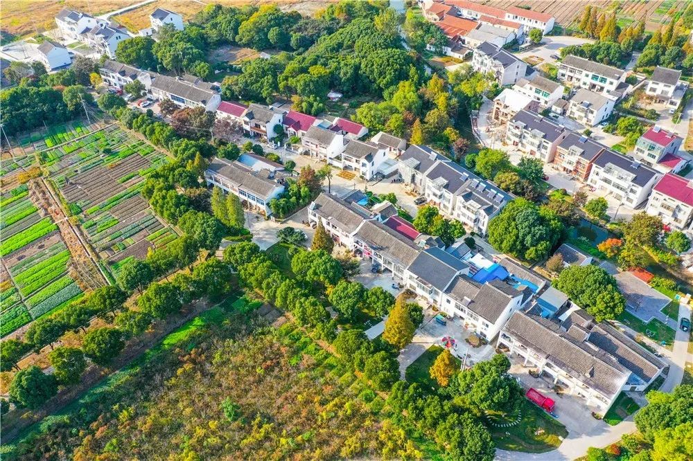 太平街道花溇村小桥头等 10个自然村进入前十 入围"红榜 黄桥街道生