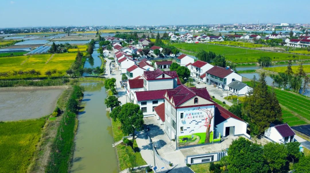 奉贤秋色大合集来啦你想看的秋日盛景必须安排