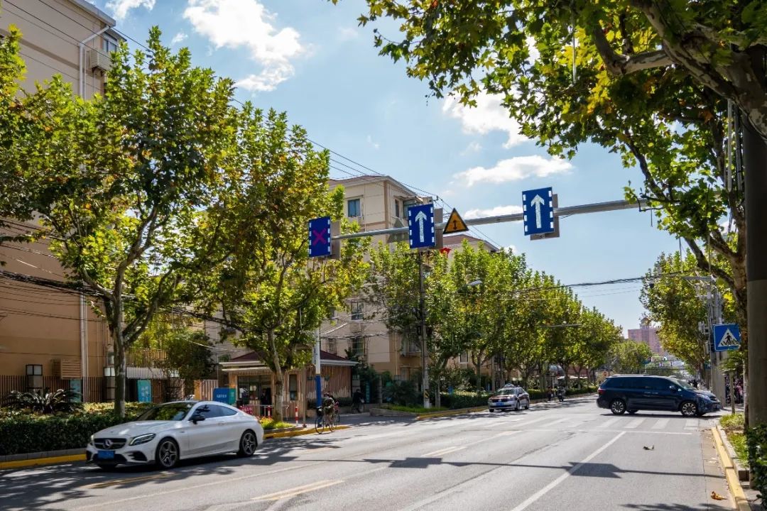 凉城路开通潮汐车道请驾驶员注意交通标识