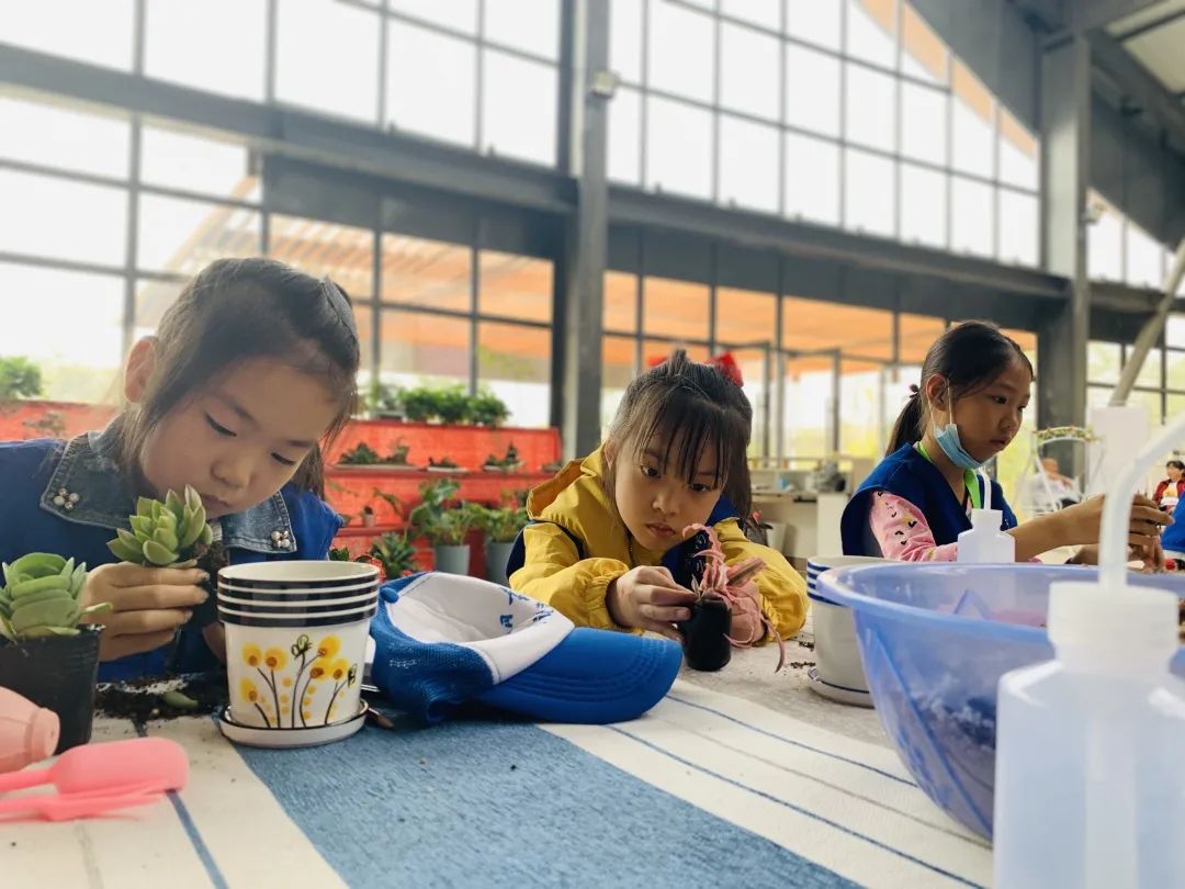 哇哦赣南日报小记者们化身小小园艺师与花儿撞了个满怀