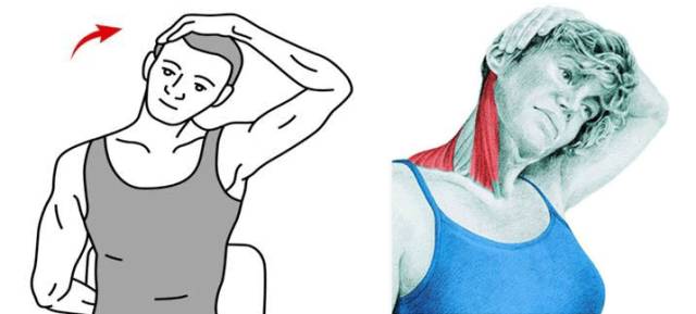 怎么趴着对肩胛骨好 641.jpg