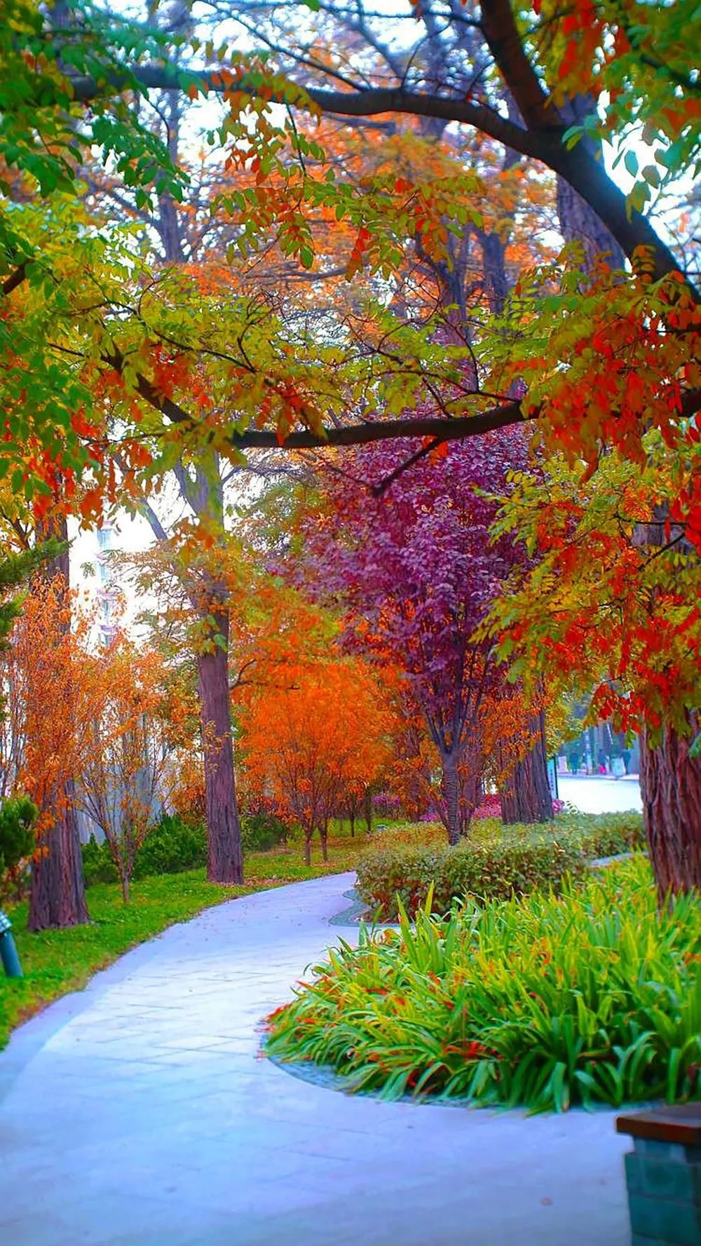 兰州秋景图片