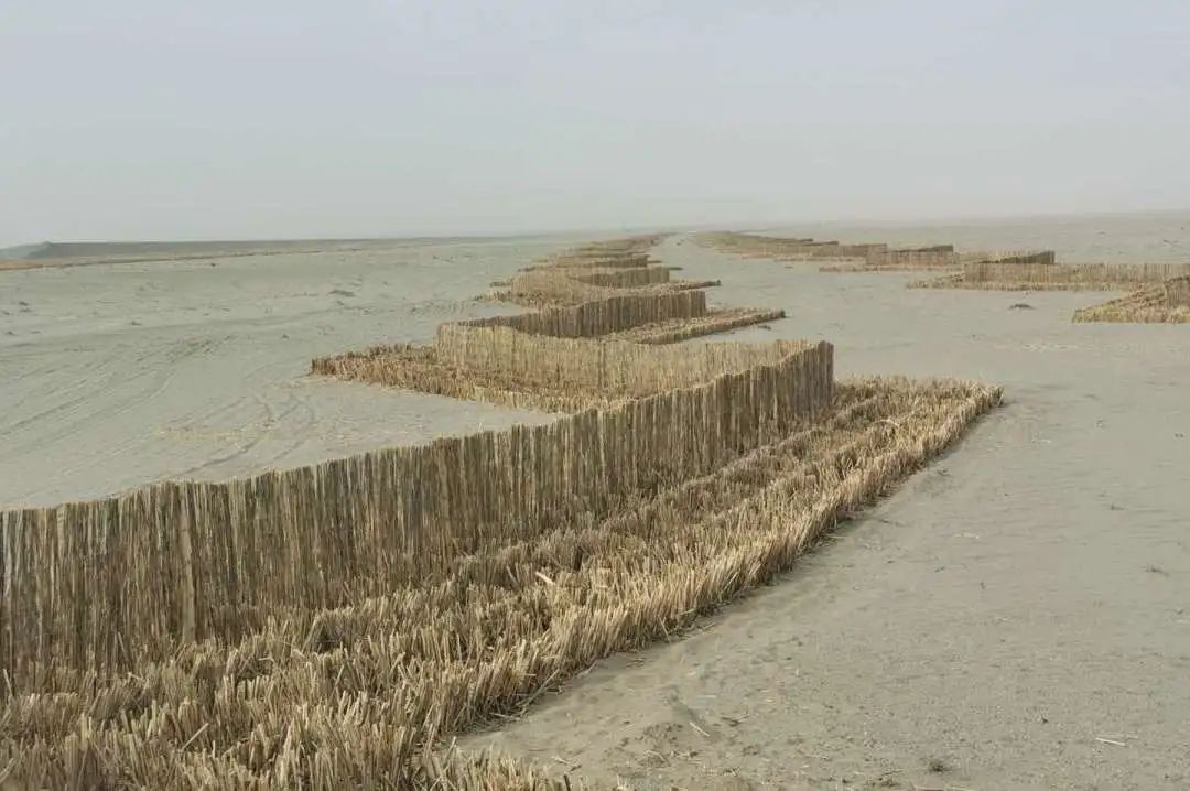 为沙漠铁路编织防沙围巾