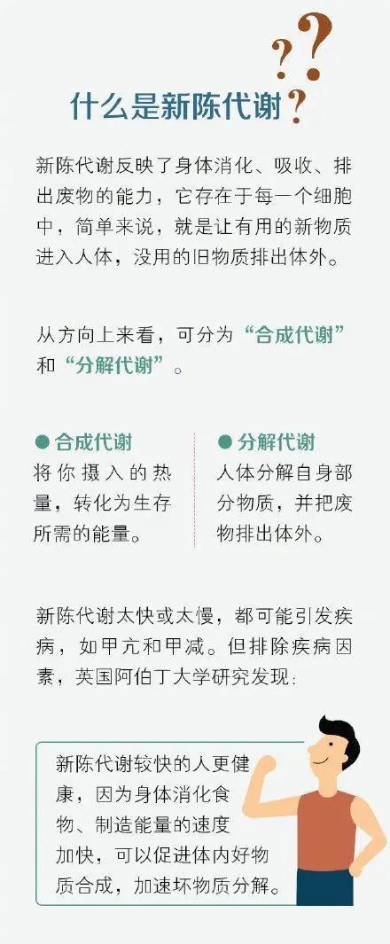 如何有效加速新陳代謝