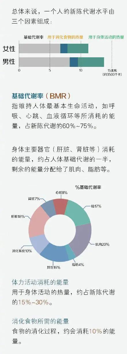 新陈代谢怎么算图片