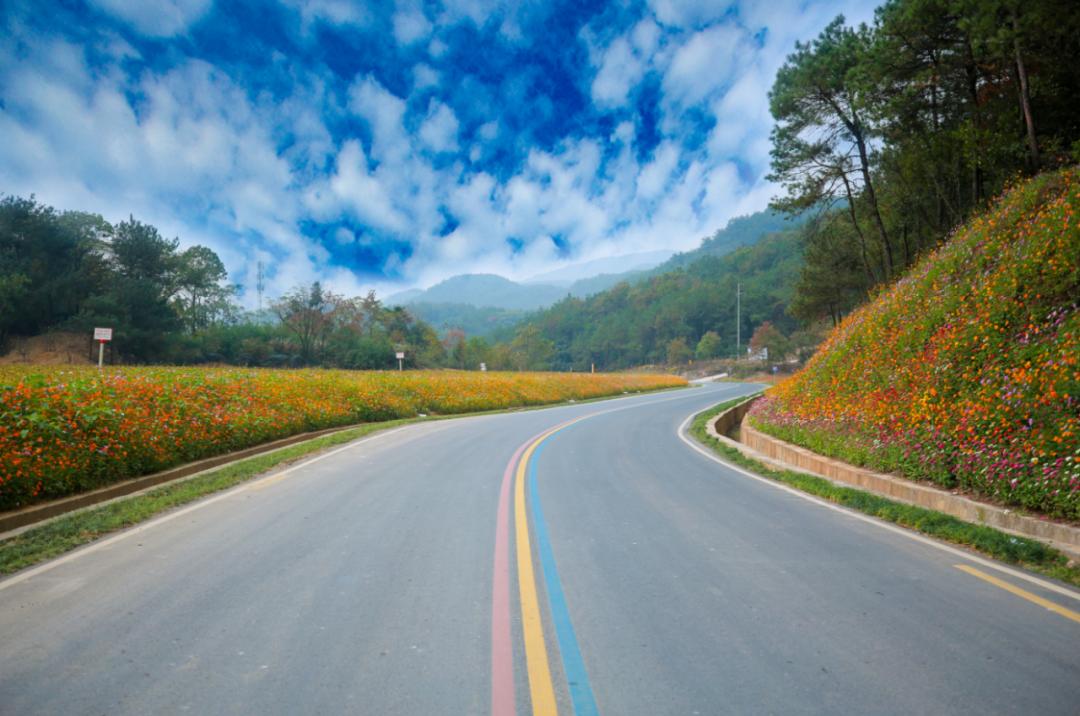 醉美秋色!义乌这条路美成了五彩斑斓的油画