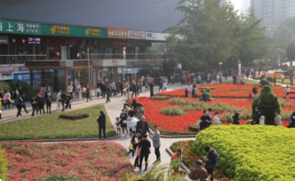 重庆一商圈现最大鲜花公园：百花齐放美不胜收，游客人山人海