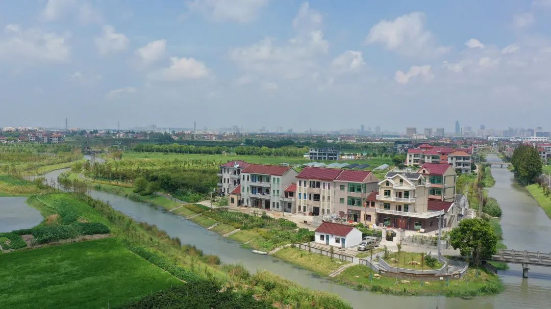 柘林镇自乡村振兴战略实施以来"诗与远方"的字里行间扎根在乡愁记忆"