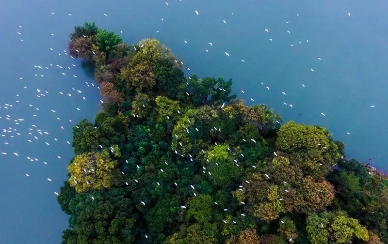 知名专家眼里的丽水山居图是这样的