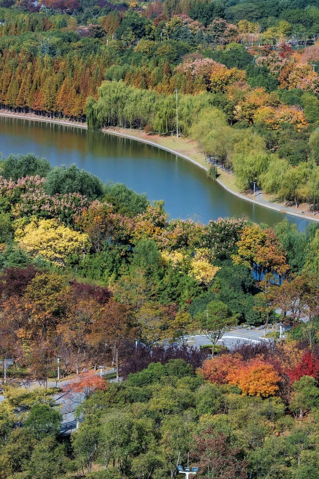 你心心念念的醉美正在这一湖灵秀满目繁华的秋天等你