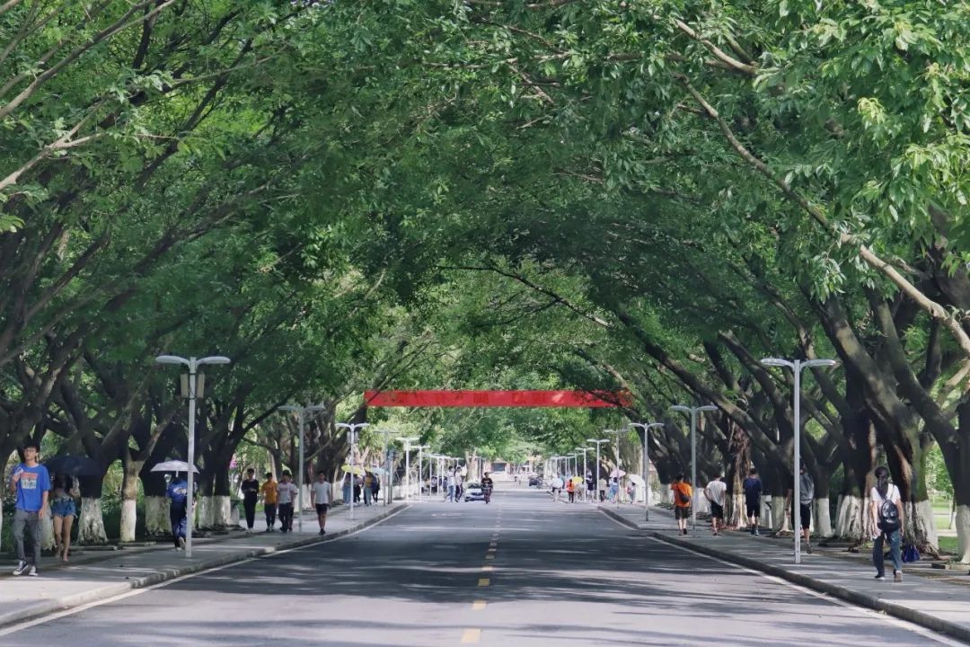 作文素材积累肇庆学院发布五十周年校庆公告