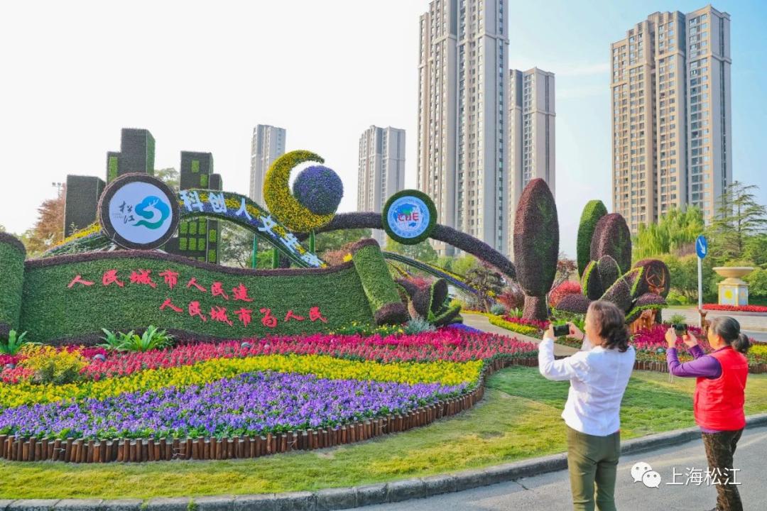松江街头添新景这些立体绿雕景观小品全新亮相