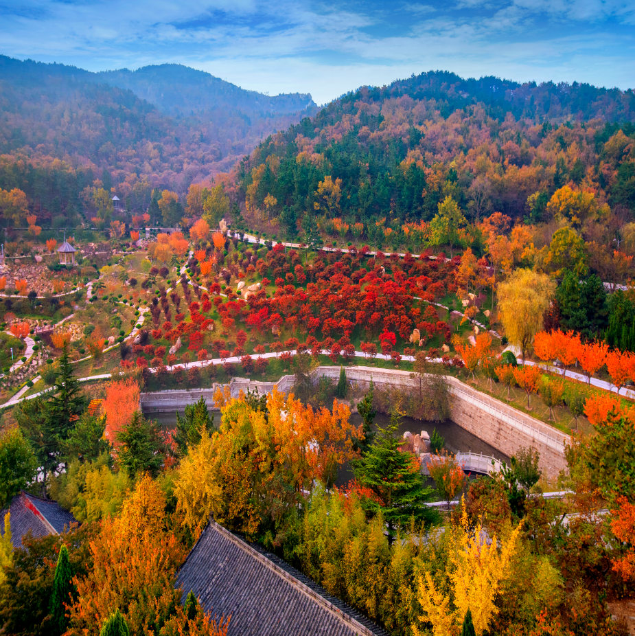威海人半价优惠!这个4a景区秋色绝美,"红"的太馋人!