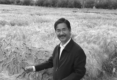 他身后留下青稞碧浪——追记西藏农科院院长尼玛扎西