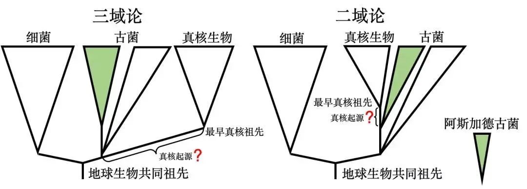 探索生命第三种形式