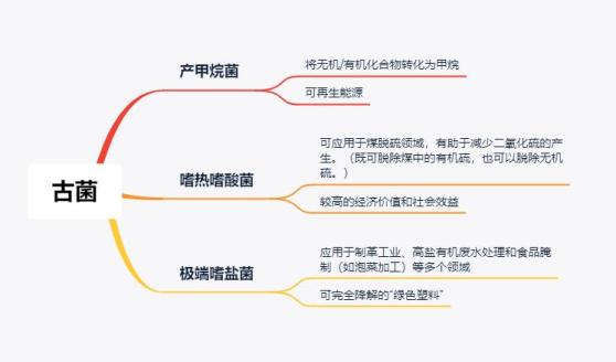 探索生命第三种形式——古菌