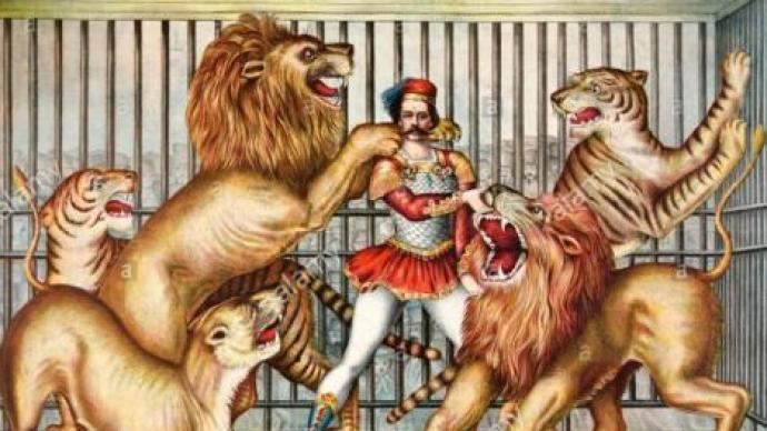狮子vs老虎：谁才是真正的百兽之王？