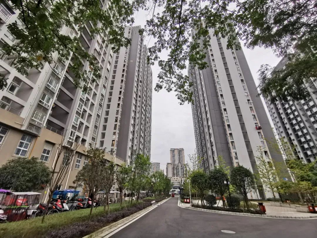 又要分房了温江300套公租房上线咋个申请