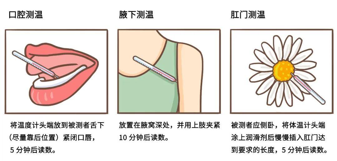 舌下温度怎么测图片