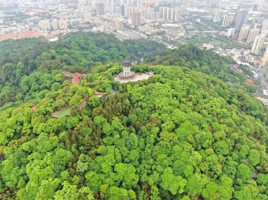 龙岩中心城市绿肺天马山