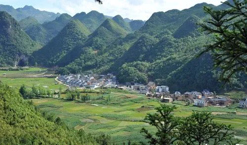 澎湃號>雲南省環保廳> |西疇縣堅持綠色引領積極創建