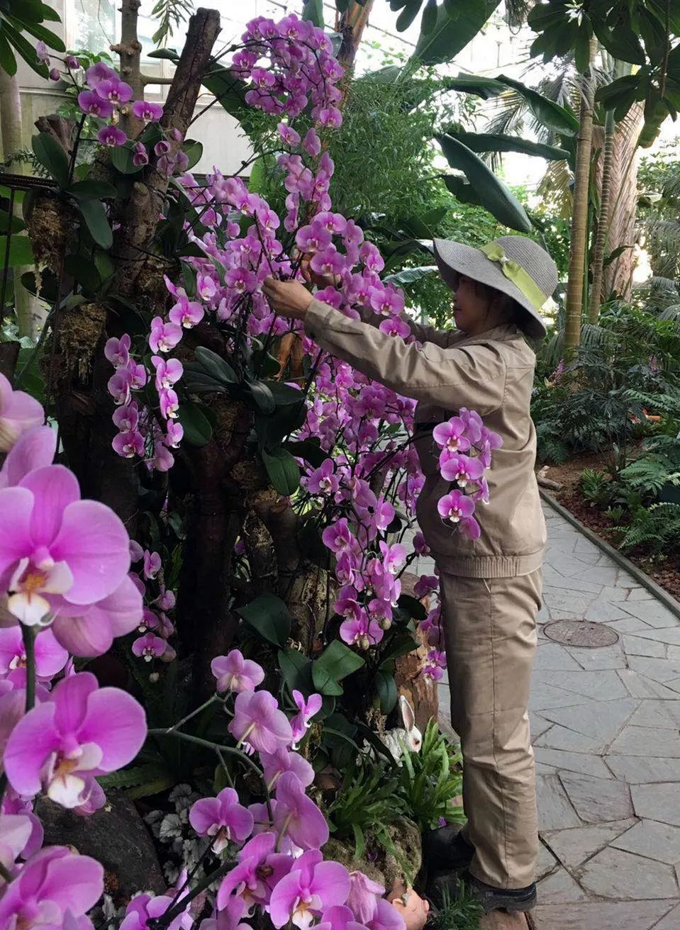 精细养护的护花使者