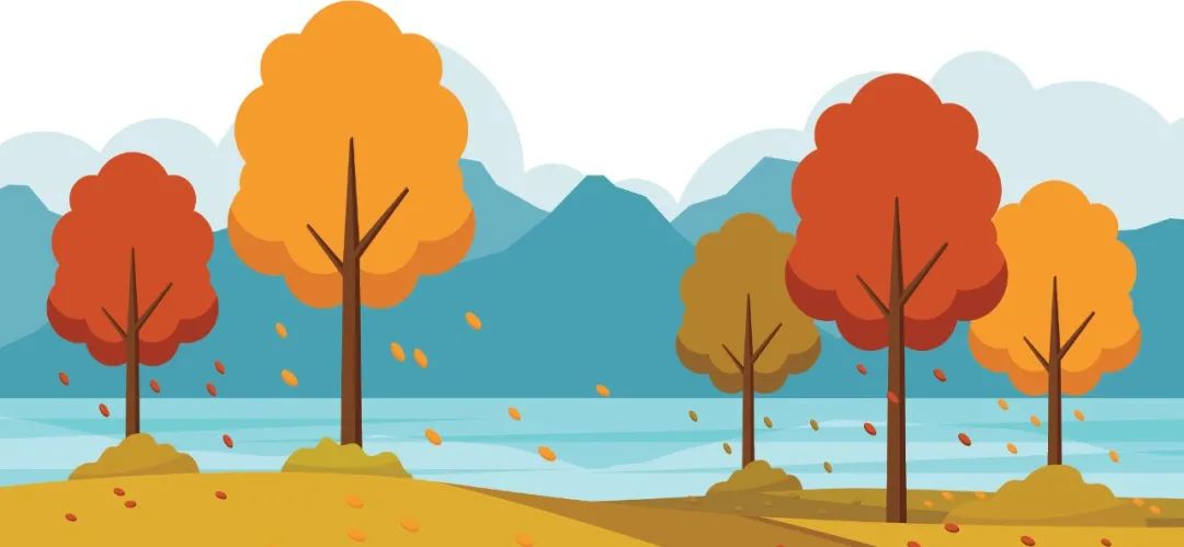 落叶缓扫留一份城市秋韵