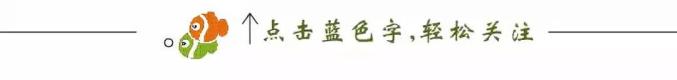 陪护家属证明怎么写_为什么医院不让家属陪护只能请护工_家属陪护告知书
