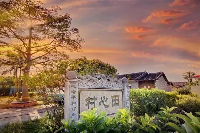 48张美图见证鹤山乡村蝶变!哪个乡村最美丽?赶紧来pick