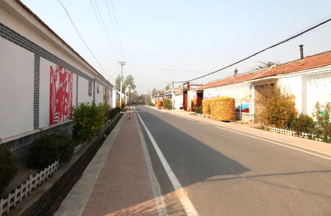 我家街巷最美系列展示滨州市惠民县石庙镇康园村