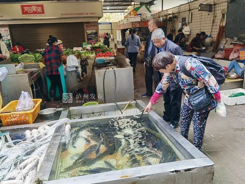 四川省3批鱼不合格泸小布走访了泸州市场结果是