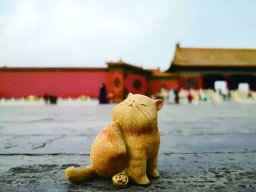 这个季节特有的光线与故宫建筑的颜色,尤其是黄灿灿的银杏叶,让每一个