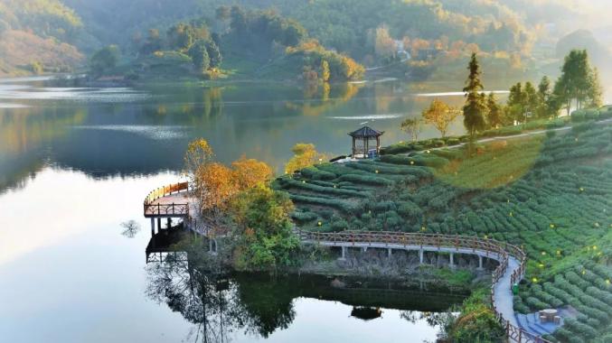 六安西茶谷主題公園,位於大別山腹地的金寨縣油坊店鄉面衝村,是六安