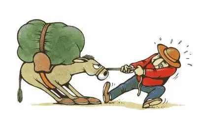 固执不听劝好争辩偏执性格了解一下