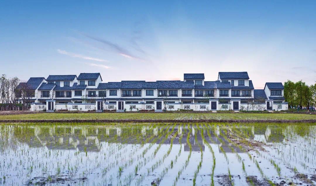 安亭镇农民相对集中居住项目◆ ◆ ◆ ◆安亭镇向阳村农民