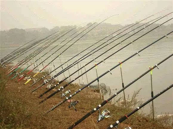 63.jpg