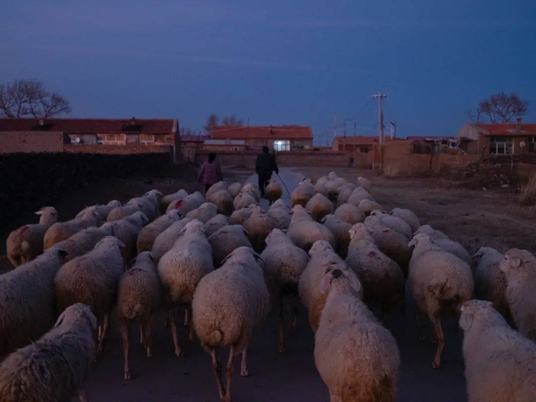 玉狗梁村的土味瑜伽