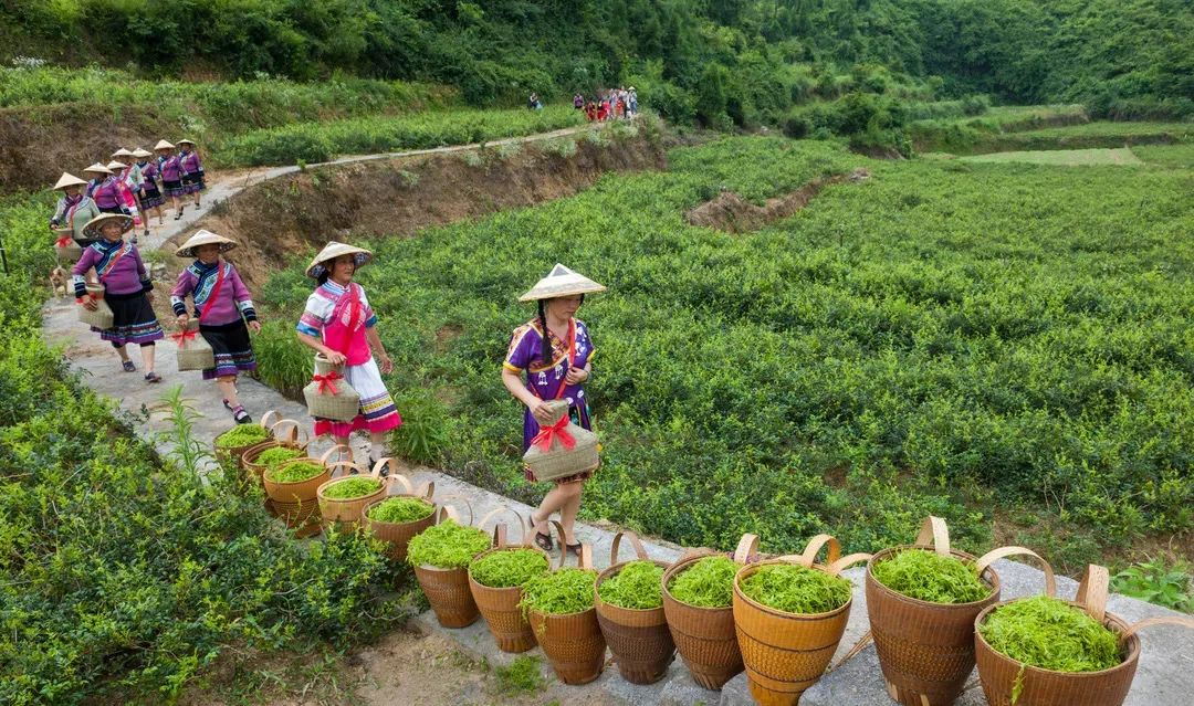 永顺乡镇人口_永顺不二门温泉图片(2)