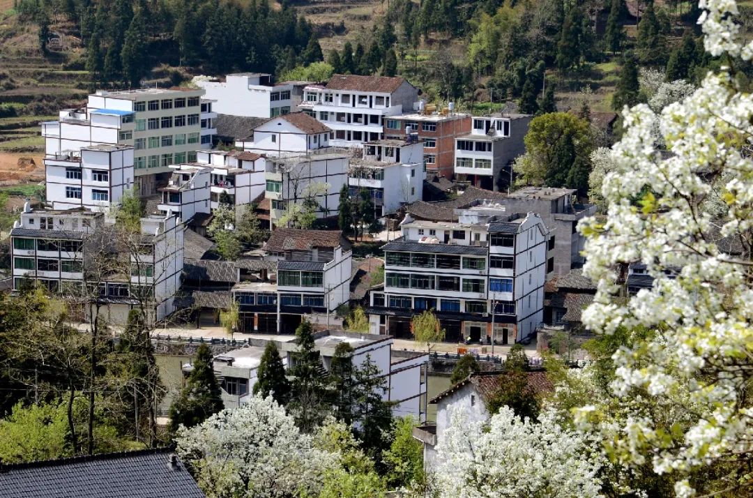 无需门票文成这些古村落美了千百年等你打卡