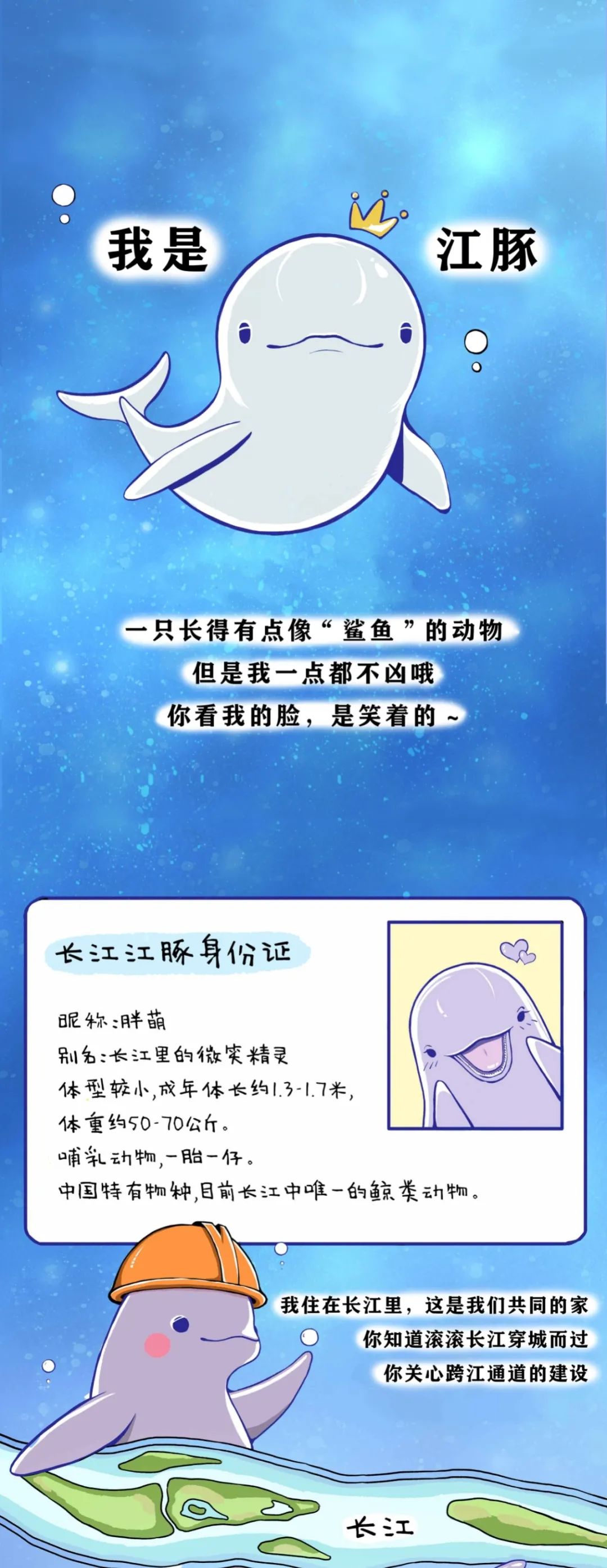 我叫江豚长江的江