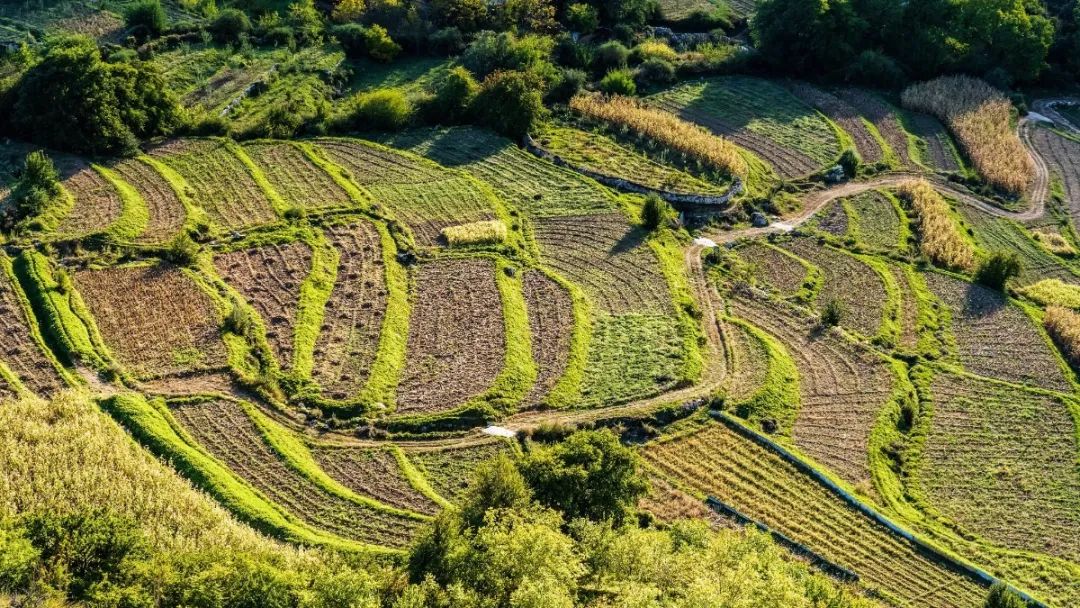 乡城县青麦乡图片