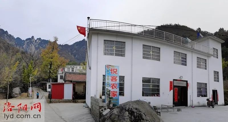 嵩县白河镇下寺村千年银杏树带火乡村游