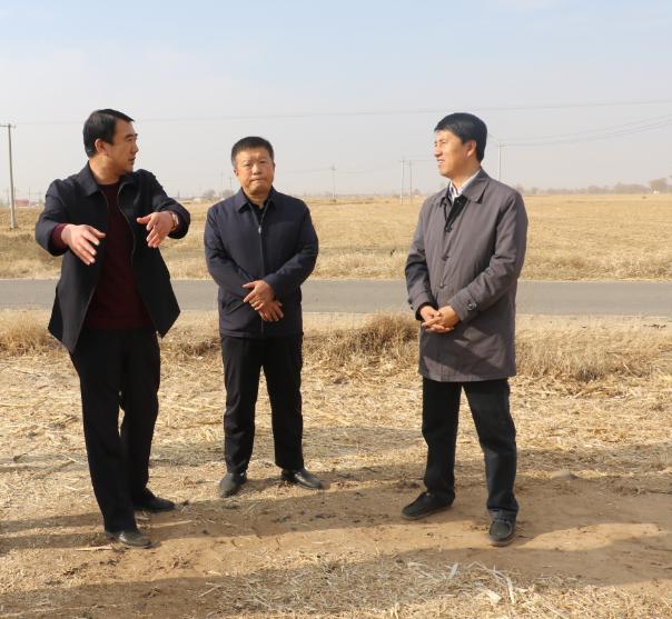 张永文在舍必崖乡调研时强调:以党的建设高质量推动经济社会发展高